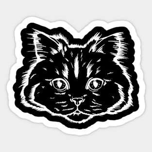 Siberian cat portrait Sticker